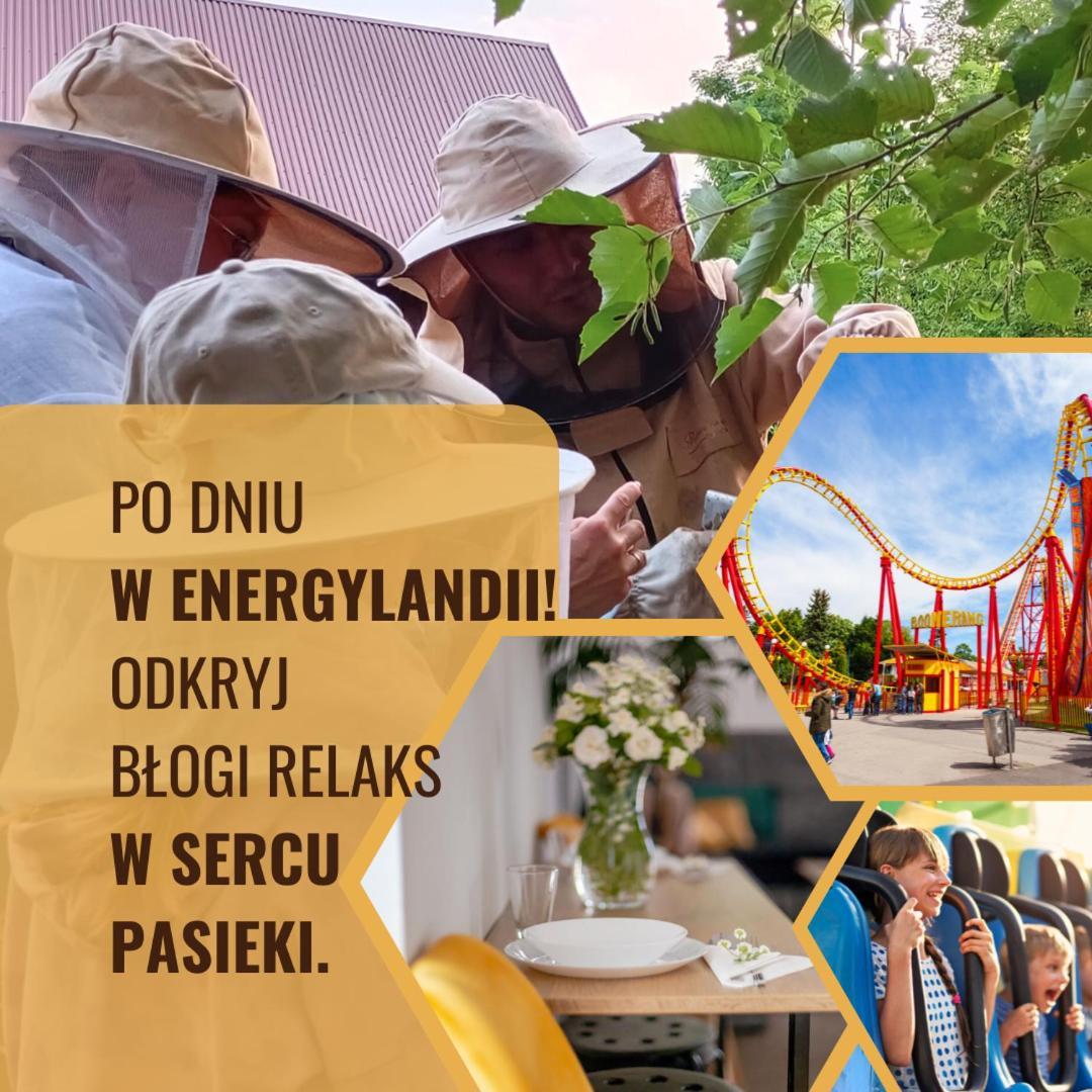 Miodowa Zagroda - Nocleg Zator Energylandia Miejsce Exteriér fotografie